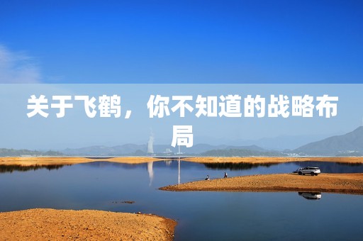 关于飞鹤，你不知道的战略布局