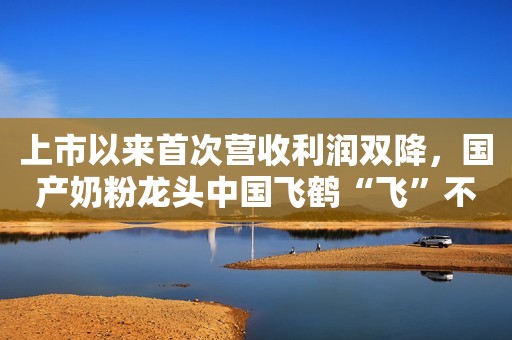 上市以来首次营收利润双降，国产奶粉龙头中国飞鹤“飞”不动了？