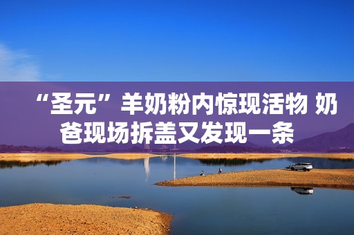 “圣元”羊奶粉内惊现活物 奶爸现场拆盖又发现一条