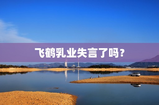 飞鹤乳业失言了吗？