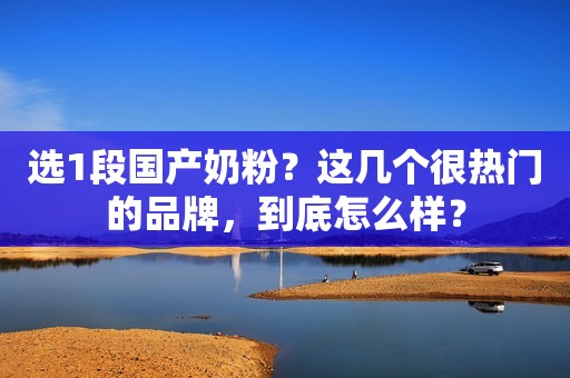选1段国产奶粉？这几个很热门的品牌，到底怎么样？