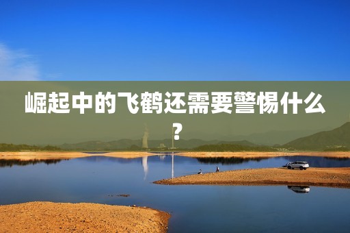 崛起中的飞鹤还需要警惕什么？