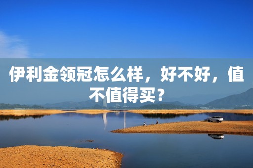 伊利金领冠怎么样，好不好，值不值得买？
