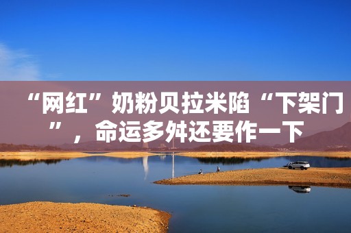 “网红”奶粉贝拉米陷“下架门”，命运多舛还要作一下