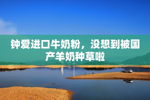钟爱进口牛奶粉，没想到被国产羊奶种草啦