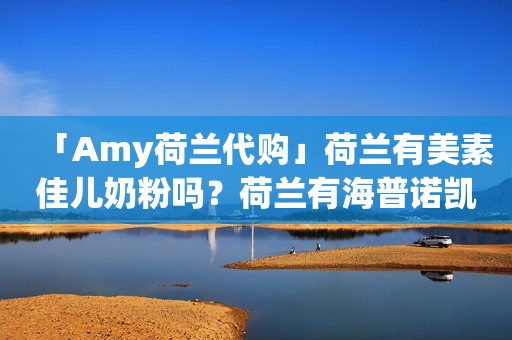 「Amy荷兰代购」荷兰有美素佳儿奶粉吗？荷兰有海普诺凯吗？