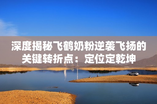 深度揭秘飞鹤奶粉逆袭飞扬的关键转折点：定位定乾坤