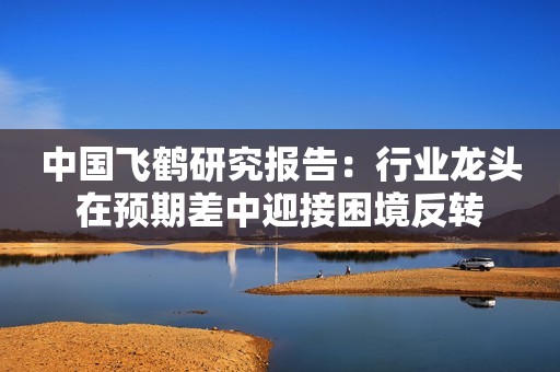 中国飞鹤研究报告：行业龙头在预期差中迎接困境反转