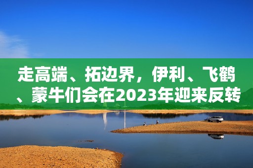 走高端、拓边界，伊利、飞鹤、蒙牛们会在2023年迎来反转吗？