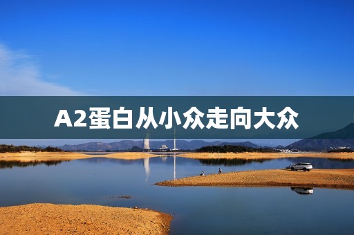 A2蛋白从小众走向大众