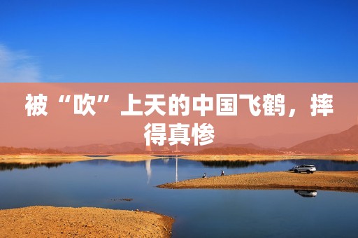 被“吹”上天的中国飞鹤，摔得真惨