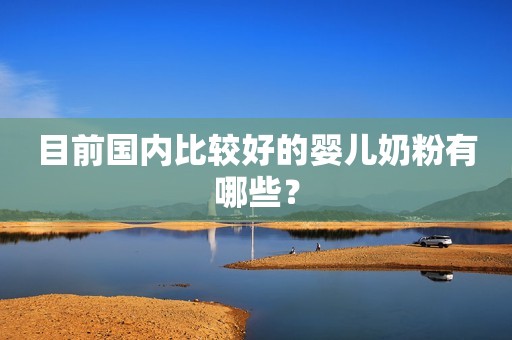 目前国内比较好的婴儿奶粉有哪些？