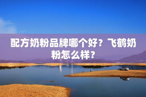 配方奶粉品牌哪个好？飞鹤奶粉怎么样？