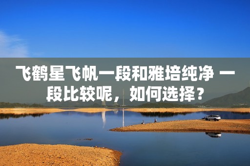 飞鹤星飞帆一段和雅培纯净 一段比较呢，如何选择？