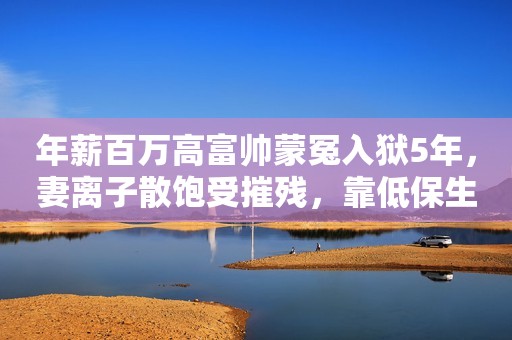 年薪百万高富帅蒙冤入狱5年，妻离子散饱受摧残，靠低保生活