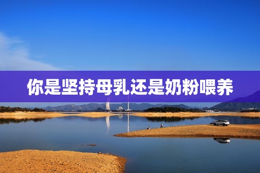 你是坚持母乳还是奶粉喂养