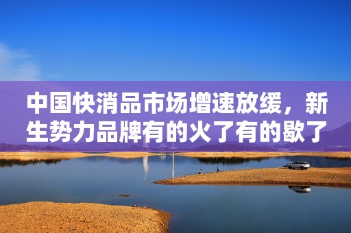 中国快消品市场增速放缓，新生势力品牌有的火了有的歇了