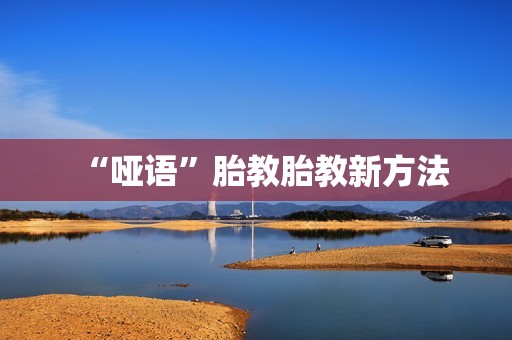 “哑语”胎教胎教新方法