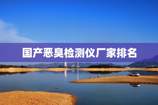 国产恶臭检测仪厂家排名