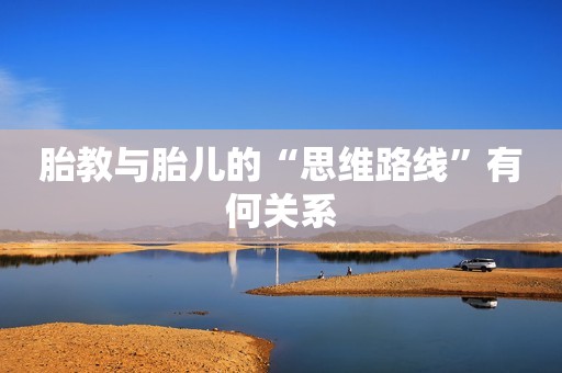 胎教与胎儿的“思维路线”有何关系