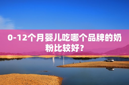 0-12个月婴儿吃哪个品牌的奶粉比较好？