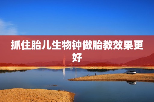 抓住胎儿生物钟做胎教效果更好