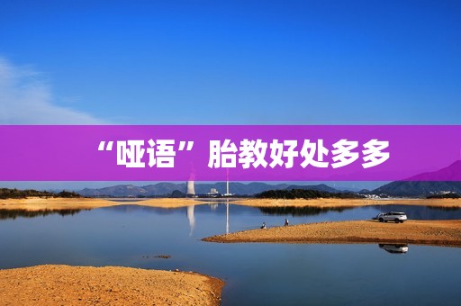 “哑语”胎教好处多多