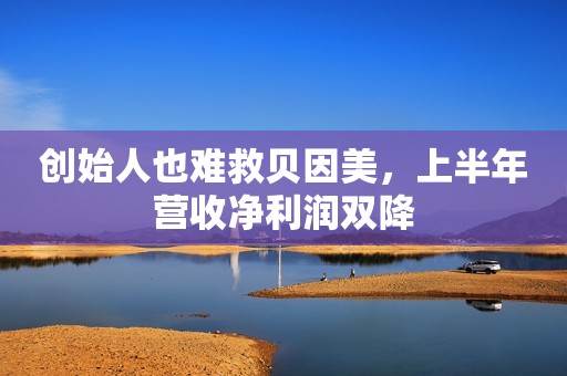 创始人也难救贝因美，上半年营收净利润双降