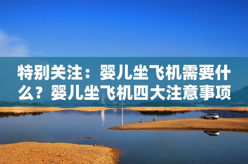 特别关注：婴儿坐飞机需要什么？婴儿坐飞机四大注意事项