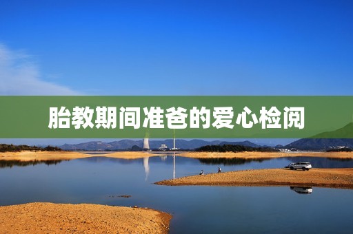 胎教期间准爸的爱心检阅