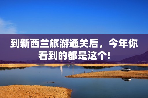 到新西兰旅游通关后，今年你看到的都是这个!
