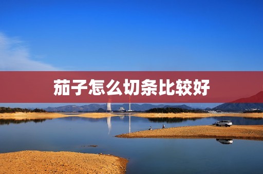 茄子怎么切条比较好