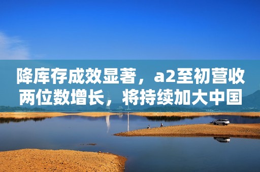 降库存成效显著，a2至初营收两位数增长，将持续加大中国市场投入