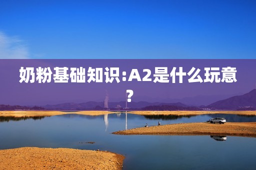 奶粉基础知识:A2是什么玩意？