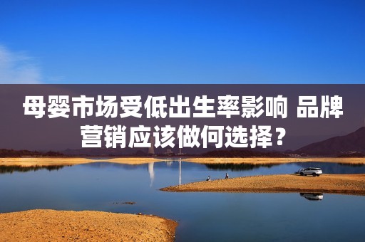 母婴市场受低出生率影响 品牌营销应该做何选择？