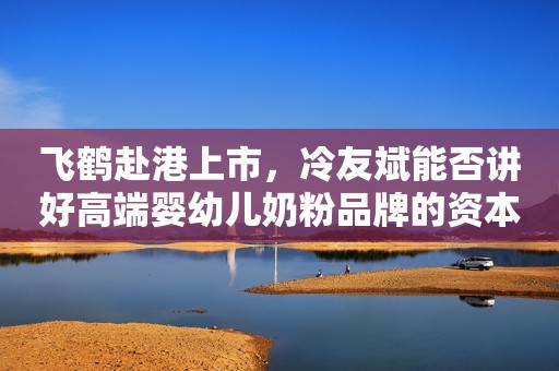 飞鹤赴港上市，冷友斌能否讲好高端婴幼儿奶粉品牌的资本故事？