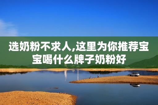 选奶粉不求人,这里为你推荐宝宝喝什么牌子奶粉好