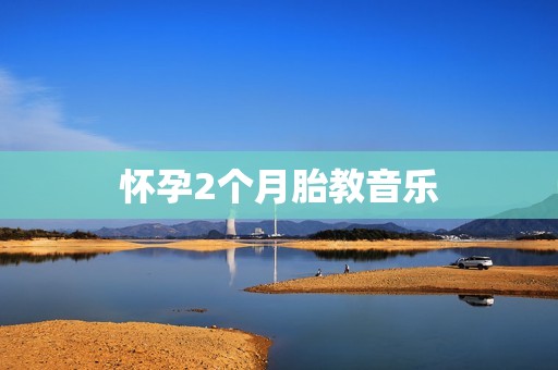 怀孕2个月胎教音乐