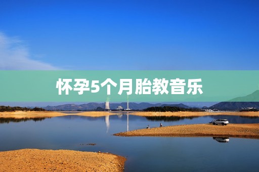 怀孕5个月胎教音乐