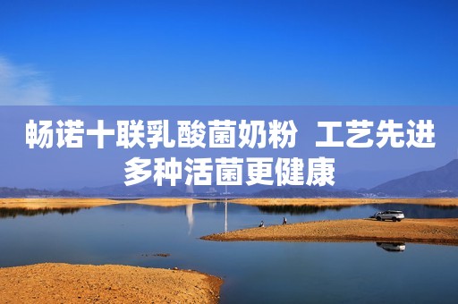 畅诺十联乳酸菌奶粉  工艺先进多种活菌更健康