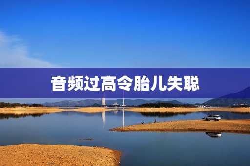 音频过高令胎儿失聪