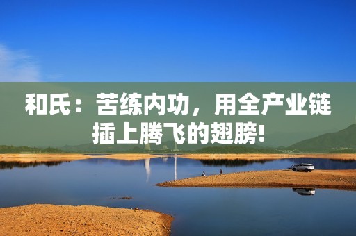 和氏：苦练内功，用全产业链插上腾飞的翅膀!