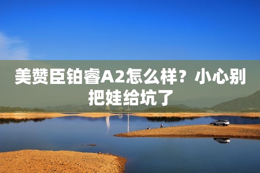 美赞臣铂睿A2怎么样？小心别把娃给坑了