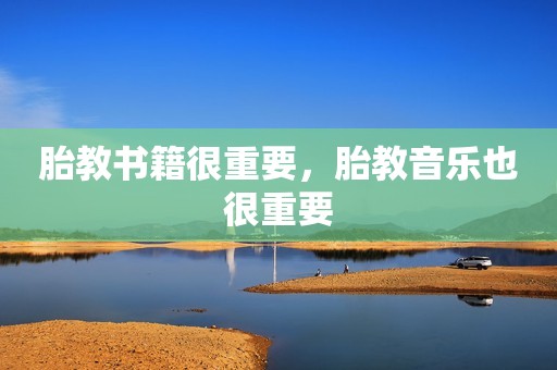 胎教书籍很重要，胎教音乐也很重要
