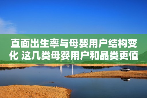 直面出生率与母婴用户结构变化 这几类母婴用户和品类更值得深挖