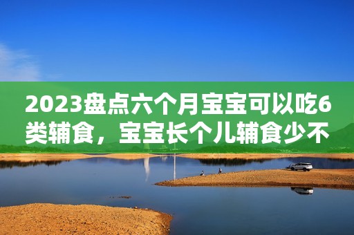 2023盘点六个月宝宝可以吃6类辅食，宝宝长个儿辅食少不了！
