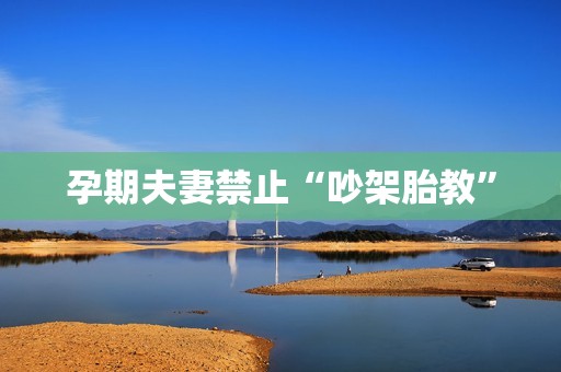 孕期夫妻禁止“吵架胎教”