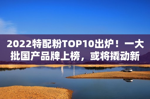 2022特配粉TOP10出炉！一大批国产品牌上榜，或将撬动新格局？