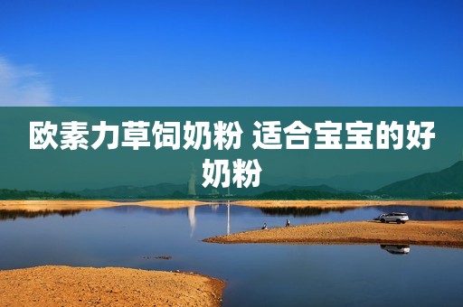 欧素力草饲奶粉 适合宝宝的好奶粉