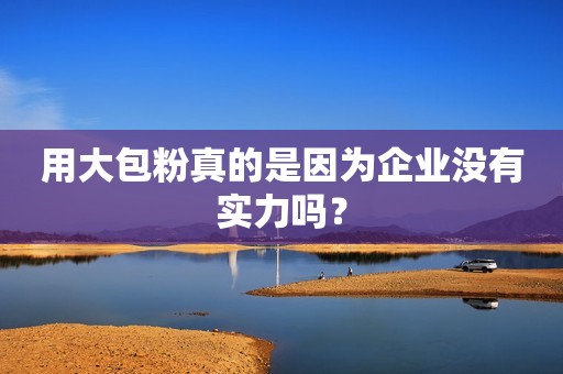 用大包粉真的是因为企业没有实力吗？